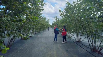 Samsun İl Tarım ve Orman Müdür Vekili Bekir Karaosmanoğlu, il