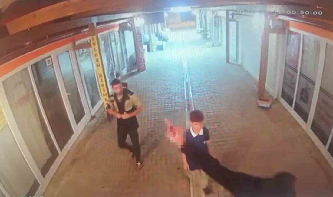 Hatay’da 3 farklı iş yerini tek tek soyan ve ardından