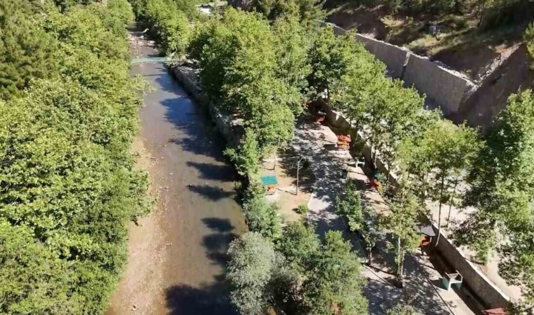 Adana’da Feke Belediyesi, yangınlar nedeniyle ormanlık alanlara girişlerin yasaklanmasının ardından