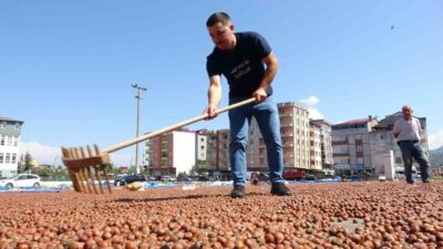 Giresun’un Espiye ilçesinde sosyal medya sayfasından arabası için satış ilanı