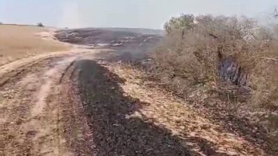 Tekirdağ’ın Kapaklı ilçesinde çıkan yangında 8 dönüm arazi kül olurken