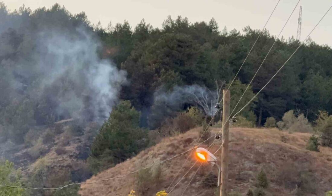 Karabük’ün Ovacık ilçesinde otluk alanda çıkan ve ormana sıçrayan yangın,