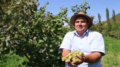 Adana’da, Karadeniz gezisi sırasında aldığı fındık fidanlarını 5 yıl önce