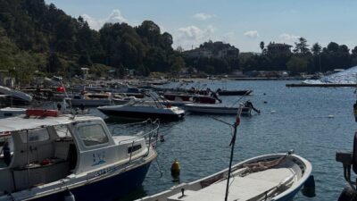 Karadeniz’de av sezonunun açılmasıyla birlikte denize açılan balıkçılar, hamsinin bol