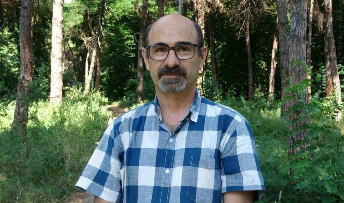 Doğu Karadeniz’in yemyeşil yaylaları ve berrak akarsuları, kontrolsüz turizm ve