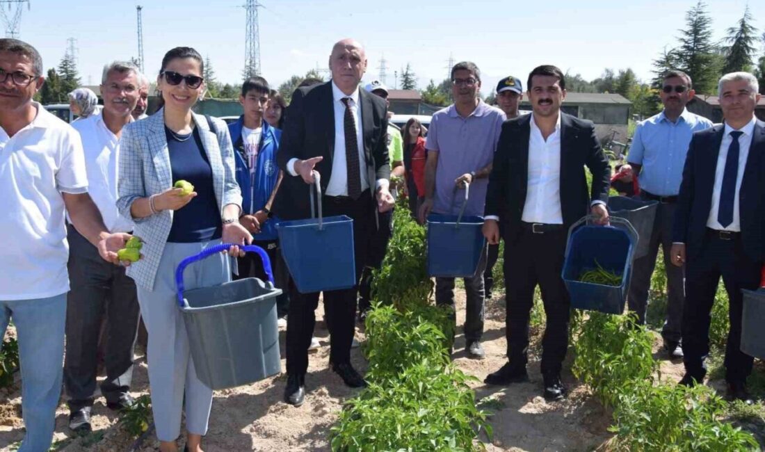 Karapınar’da “Doğayla El Ele Öğreniyorum, Üretiyorum, Paylaşıyorum” projesi meyvelerini veriyor Konya’nın Karapınar ilçesinde, Karapınar Gençlik Merkezi tarafından yürütülen ve Gençlik