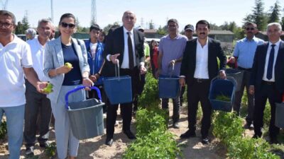 Konya’nın Karapınar ilçesinde, Karapınar Gençlik Merkezi tarafından yürütülen ve Gençlik