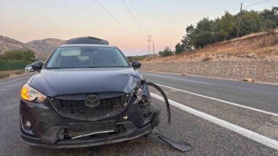 Adıyaman’ın Gölbaşı ilçesinde karayoluna çıkan küçükbaş hayvan sürüsüne çarpması sonucu