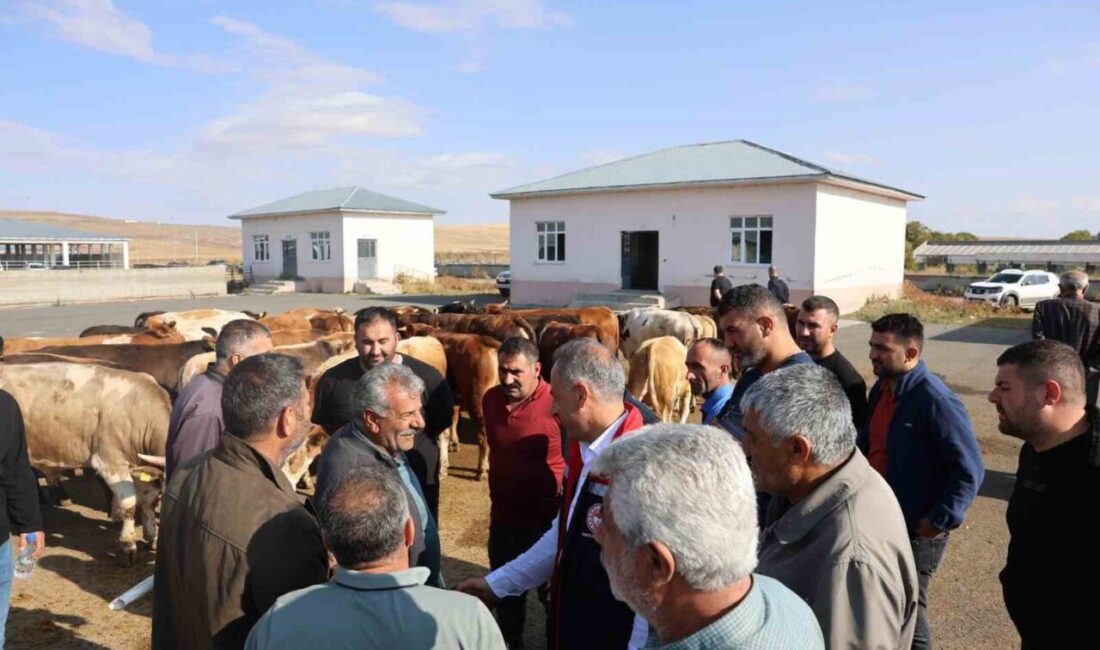 Kars’ta uzun süredir şap hastalığından dolayı kapalı bulunan Hayvan Pazarı