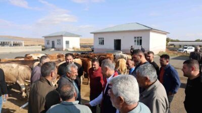 Kars’ta uzun süredir şap hastalığından dolayı kapalı bulunan Hayvan Pazarı