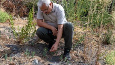 İzmir Orman Bölge Müdürü Mahmut Yılmaz, 18 Ağustos 2024 tarihinde