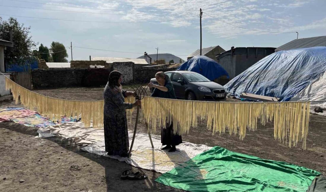 Kars’ta köylü kadınlar imece usulü erişte kesiyor Kars’ta geleneksel bir dayanışma örneği yaşanıyor. Kadınlar, kışlık erzaklarını hazırlamak