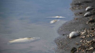 Kastamonu’da içme suyu ve sulama ihtiyacını karşılayan baraj gölünde, su