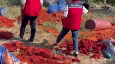 Hatay’da Tarım ve Orman İl Müdürlüğü ekiplerinin denetimleri esnasında katkı