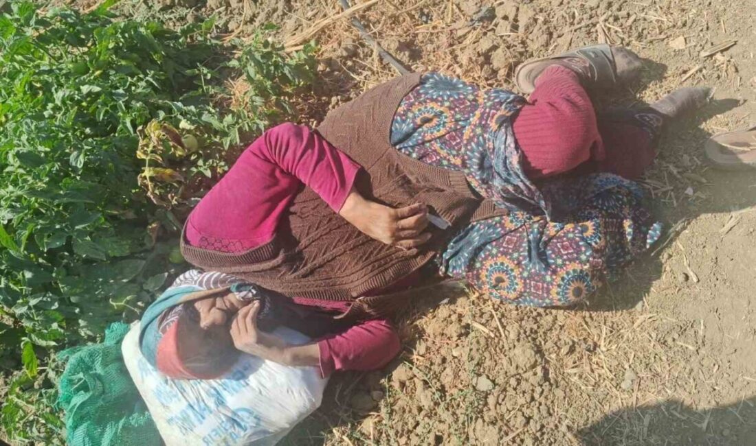 Kaybolan 74 yaşındaki kadın bulundu Eskişehir’de kaybolan alzheimer hastası 74 yaşındaki Hatun Işıksoy sağ salim