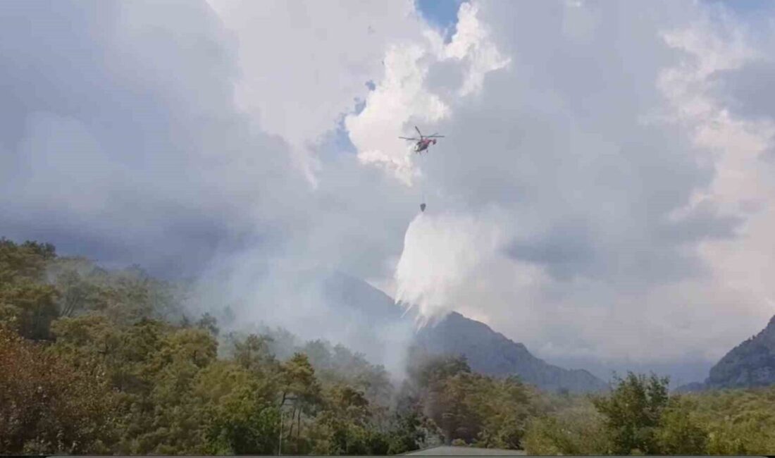 Kemer’de ormanlık alanda çıkan yangın büyümeden kontrol altına alındı Antalya’nın Kemer ilçesi Arslanbucak Mahallesi ormanlık alanda çıkan orman yangını