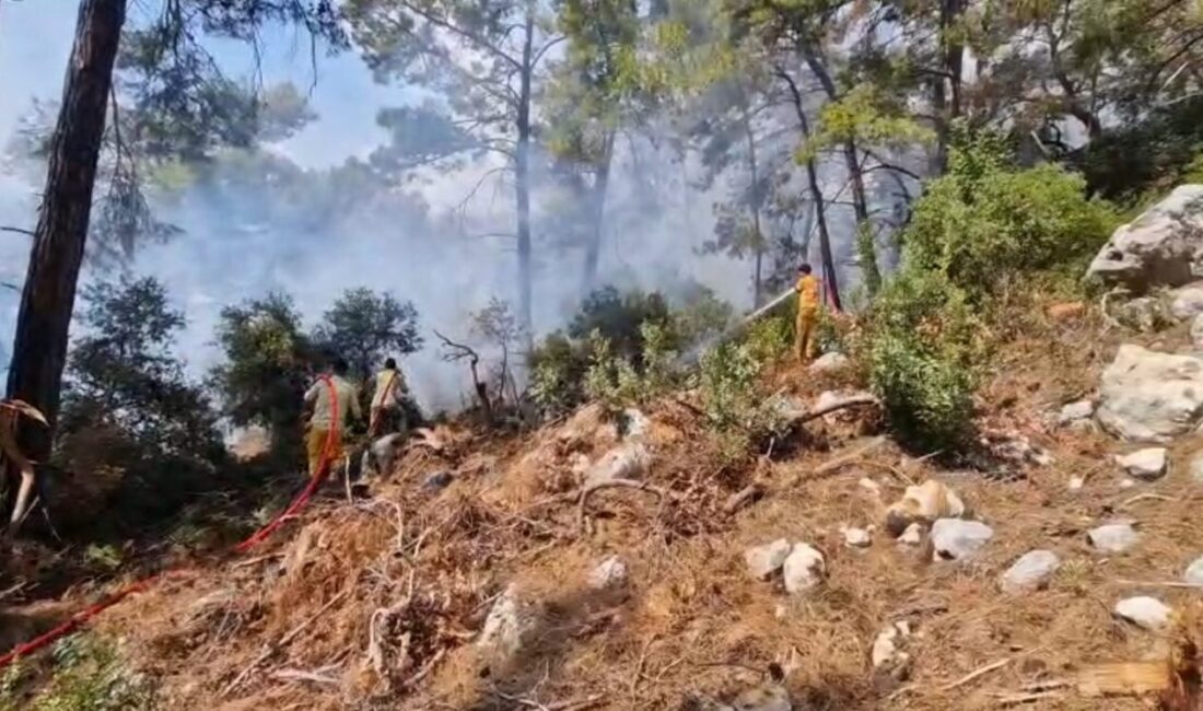 Kemer’deki orman yangını kontrol altına alındı Antalya’nın Kemer ilçesi Kiriş Mahallesi’nde çıkan orman yangını, ekiplerin havadan