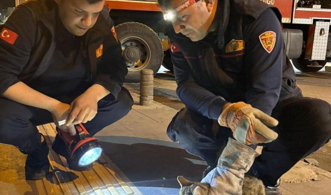 Kilis’te 3 gündür ağaçta mahsur kalan kedi kurtarıldı Kilis’te 3 gündür ağaçta mahsur kalan bir kedi, itfaiye ekiplerinin