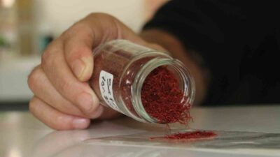 Dünyanın en değerli baharatı safranın yüksek fiyatı, sahtesinin piyasaya sürülmesine