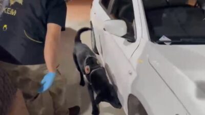 Samsun’da kiralık araçla uyuşturucu sevkiyatı yapan baba-oğul, yapılan takip sonucu