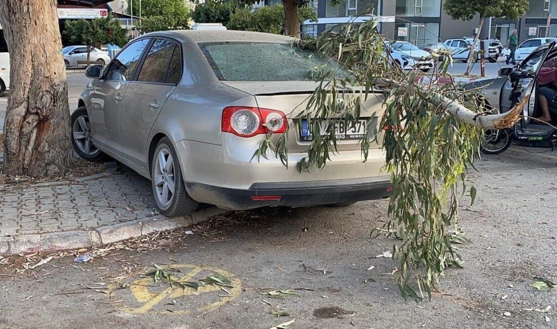 Mersin’in Erdemli ilçesinde kırılan ağaç dalı otomobile zarar verdi. Olay,
