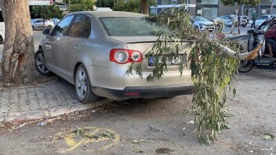 Mersin’in Erdemli ilçesinde kırılan ağaç dalı otomobile zarar verdi. Olay,