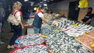 Kırklareli İl Tarım ve Orman Müdürlüğü ekipleri balık satışı yapılan