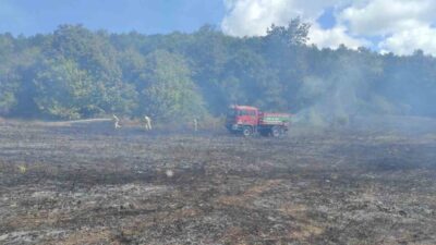 Kırklareli’nde çıkan örtü yangını ekiplerin müdahalesi ile söndürüldü. Alınan bilgiye