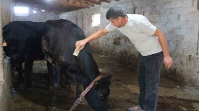 Tarım ve Orman Bakanlığı tarafından 2025 yılında hayata geçirilen ‘Kırsalda