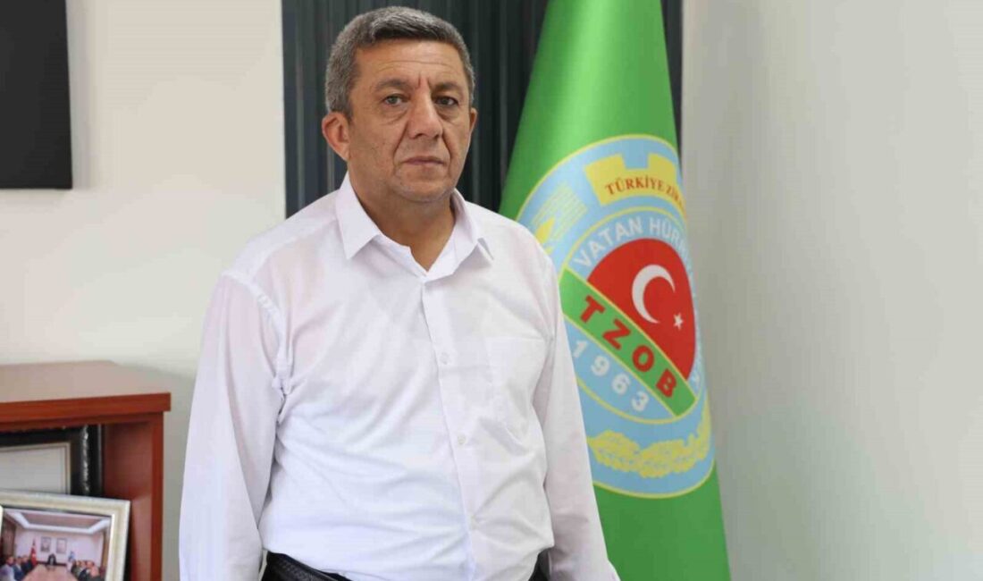 Kırşehir’de hasat tamamladı, çiftçi istediği rekolteye ulaşamadı KIRŞEHİR (İHA) – Kırşehir’de, 2026 yılı Çiftçi Kayıt Sistemi (ÇKS)
