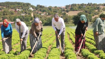 Kocaeli Büyükşehir Belediyesi, çiftçilere sunduğu 1 milyar TL’lik destek ve