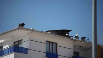 Konya’nın Karatay ilçesinde 5 katlı binanın çatısında çıkan yangın, paniğe