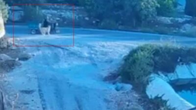 Mersin’de köpeğin saldırdığı üç tekerli motosiklet, sürücüsünün panik yapmasıyla devrildi.