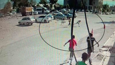 Hatay’da sokak köpeklerinin saldırısına uğrayan 2 çocuğun kaçtığı anlar ve