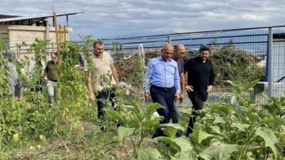 Kocaeli’nin Körfez ilçesinde yerli tohumların korunması ve organik tarımın teşvik