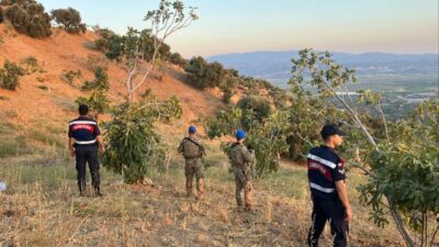 Aydın’ın Köşk ilçesinde jandarma ekipleri tarafından ürün hırsızlığının önlenmesine yönelik