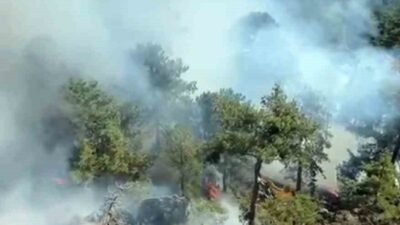 Muğla’nın Denizli sınırında yer alan kırsal Otmanlar Mahallesinde başlayan orman