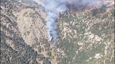 Muğla’nın Köyceğiz ilçesinde sabah saatlerinde başlayan ve çıkış nedeni henüz