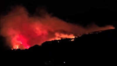 Muğla’nın Köyceğiz ilçesine bağlı Akköprü Mahallesinde meydana gelen orman yangınına