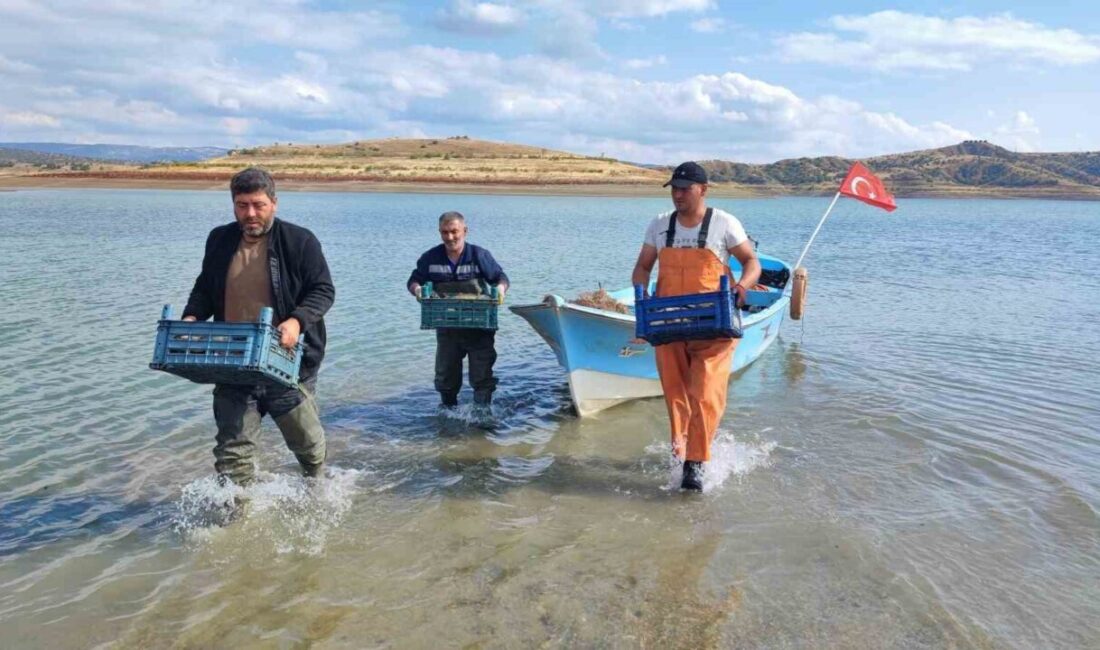 Kuraklık bozkır balıkçılığını vurdu, balıkçılar iç pazara yöneldi Yozgat’ın Çekerek ilçesinde bulunan Çekerek Barajı’nda su seviyesinin düşmesi, bölgede