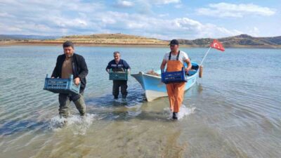 Yozgat’ın Çekerek ilçesinde bulunan Çekerek Barajı’nda su seviyesinin düşmesi, bölgede