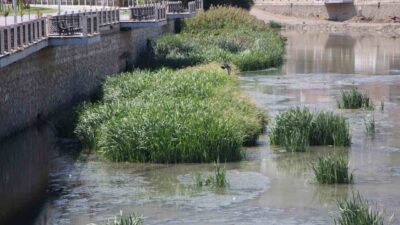 Türkiye’nin önemli akarsularından Yeşilırmak Nehri’nde azalan su seviyesi alarm veriyor.