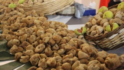 Dünyanın ve Türkiye’nin en kaliteli ve en fazla incirinin üretildiği