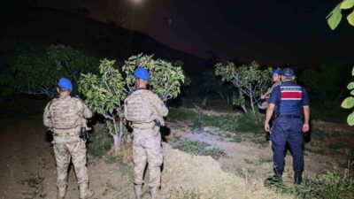 Aydın’ın Kuyucak ilçesinde jandarma ekipleri tarafından incir hırsızlığına karşı devriye