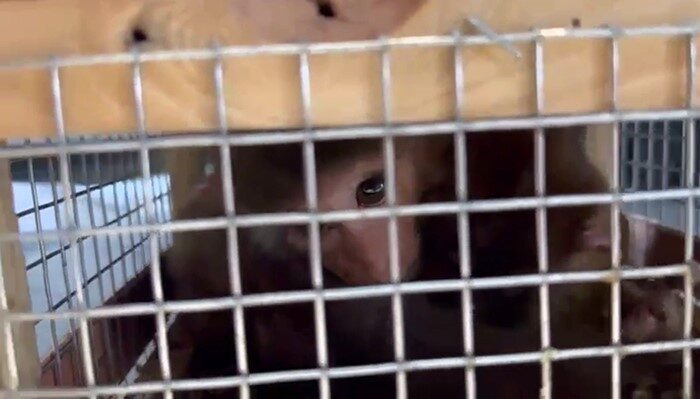 Şırnak’ın Silopi ilçesinde bulunan Habur Gümrük Kapısında yasadışı yollar ile