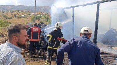 Malatya’nın Doğanşehir ilçesinde bir ahırda çıkan yangında 10 büyükbaş hayvan