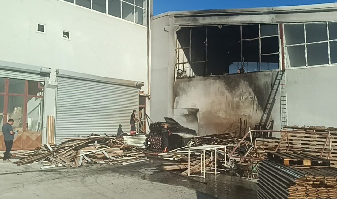 Malatya’da mobilya imalathanesinde korkutan yangın Malatya’da bir mobilya imalathanesinde çıkan yangın paniğe neden oldu. İtfaiye