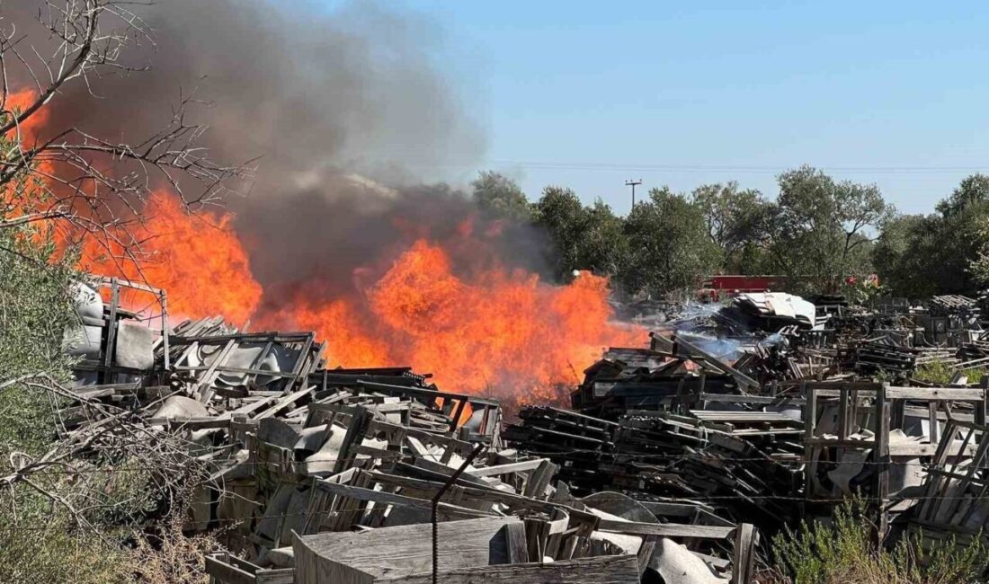 Manisa’nın Yunusemre ilçesinde faaliyet gösteren ahşap palet fabrikasında çıkan yangına