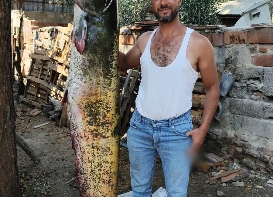 Manisa’nın Salihli ilçesinde amatör bir balıkçı, Demirköprü Baraj Gölü’nde kendi