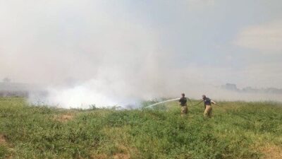 Manyas’ın Eşen Mahallesi ile Bandırma’nın Ergili Mahallesi arasındaki sazlık ve